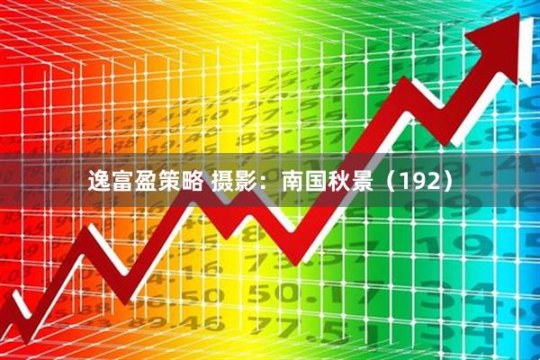 逸富盈策略 摄影：南国秋景（192）