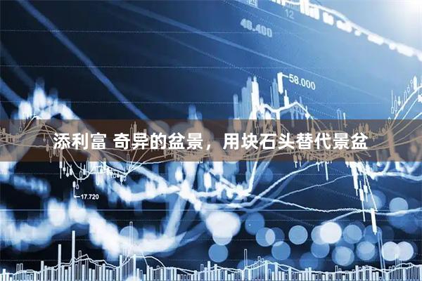 添利富 奇异的盆景，用块石头替代景盆