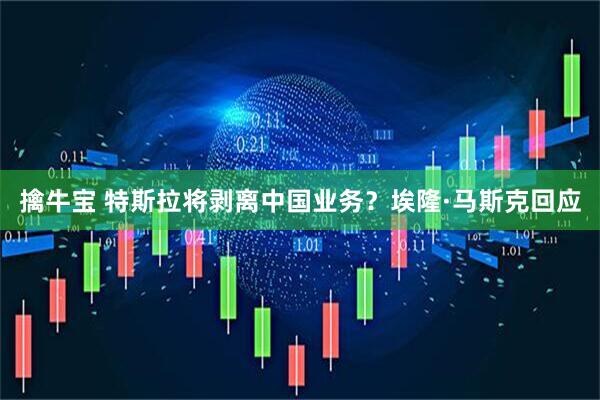 擒牛宝 特斯拉将剥离中国业务？埃隆·马斯克回应